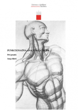 Funkcionalna anatomija trupa