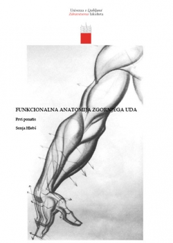 Funkcionalna anatomija zgornjega uda
